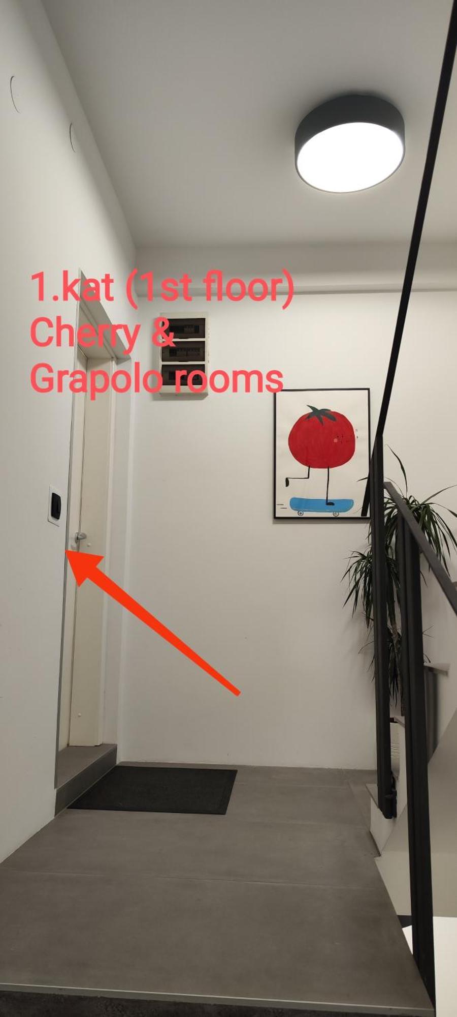 Pomodoro Rooms 萨格勒布 外观 照片